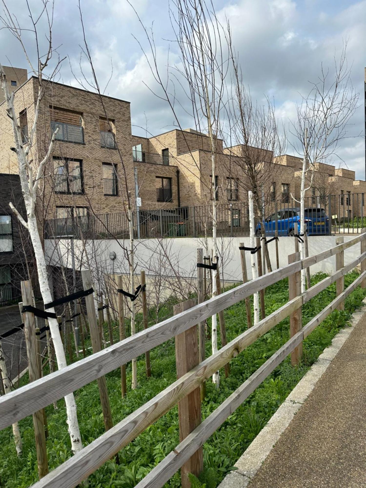 Luxury 3 Bedroom Flat In Stratford, Londra Esterno foto